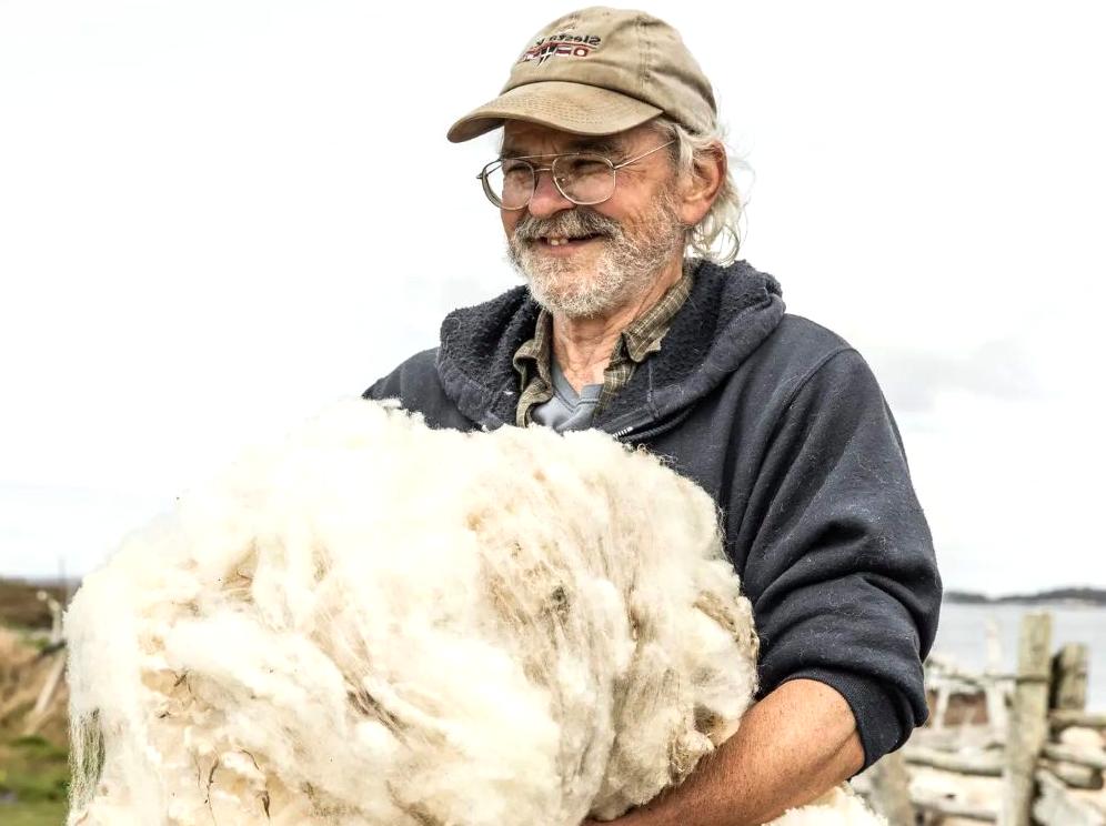 Sheep Shearing Exhibitions at the Shearing Shed on Phillip Island