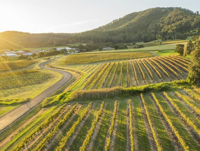 Exploring New South Wales' Wine Regions