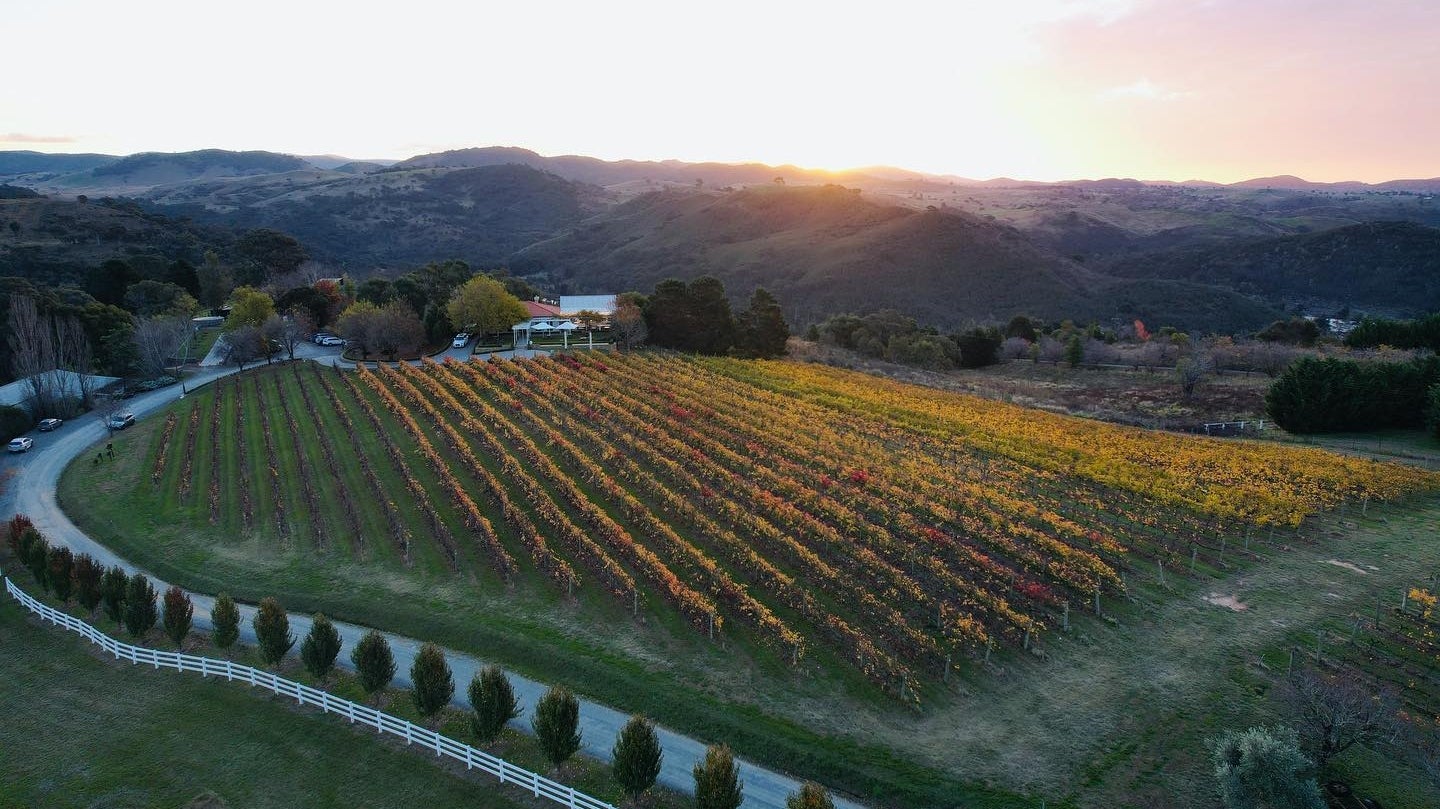 Journey through the Vineyards of New South Wales
