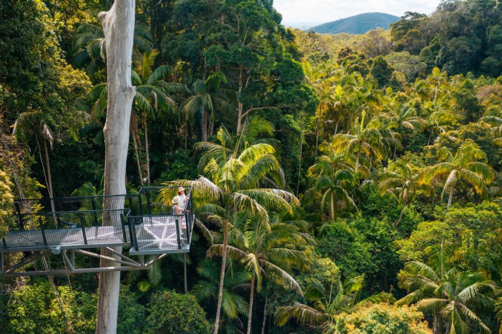 Journeying Through Gold Coast's Scenic Hinterland