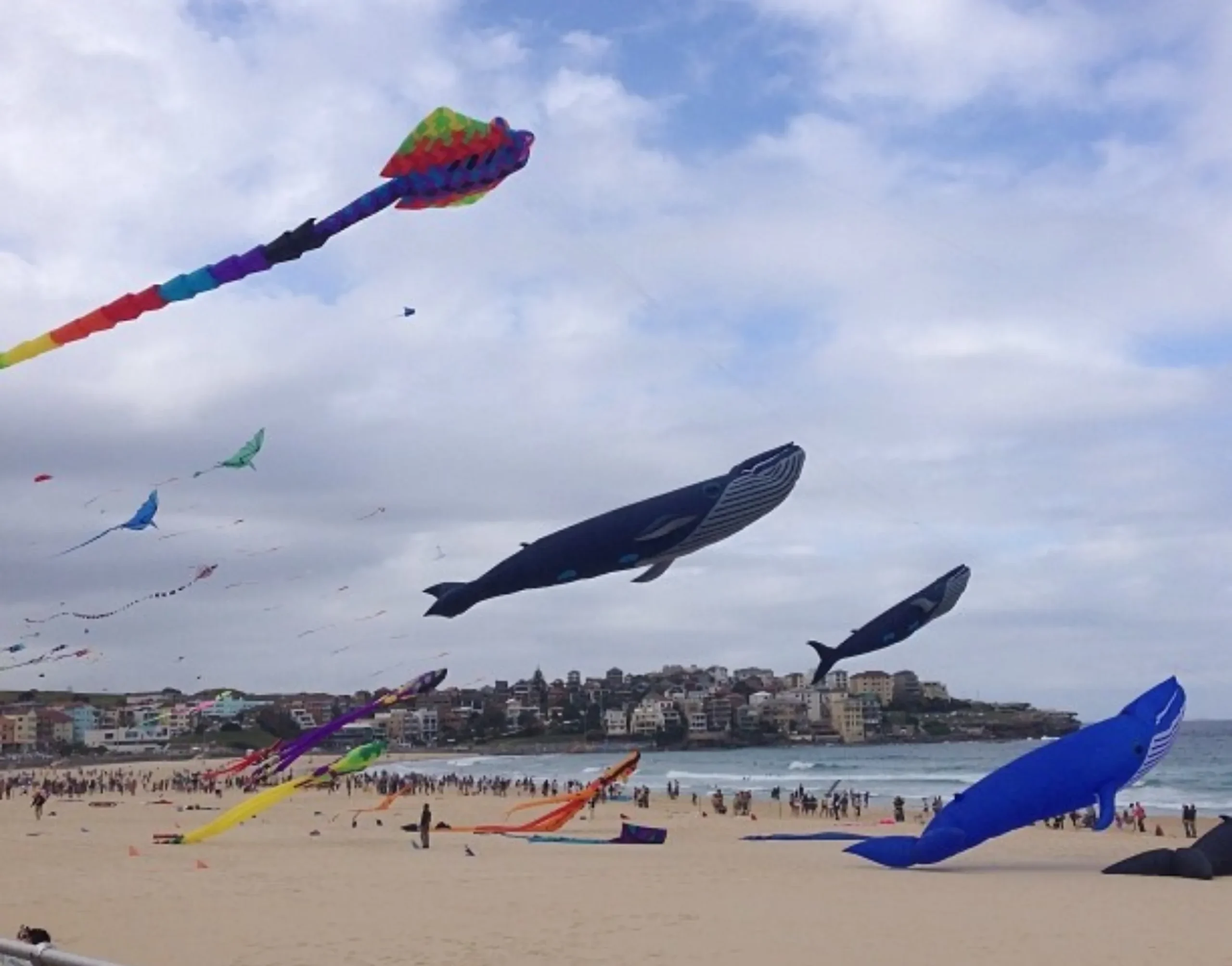best group tours for solo travellers Sydney